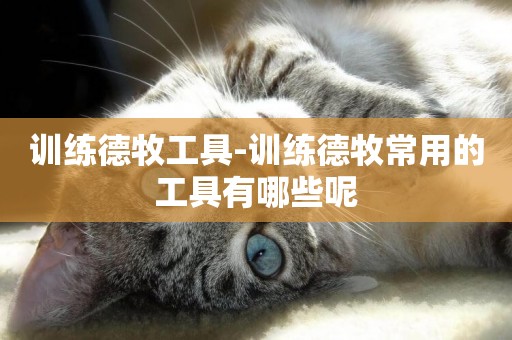 訓練德牧工具-訓練德牧常用的工具有哪些呢