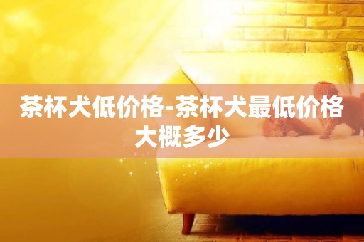 茶杯犬低價格-茶杯犬最低價格大概多少