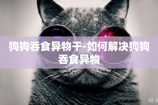 狗狗吞食異物干-如何解決狗狗吞食異物