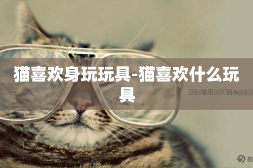 貓喜歡身玩玩具-貓喜歡什么玩具