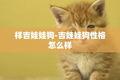 樣吉娃娃狗-吉娃娃狗性格怎么樣