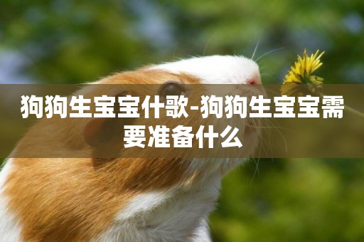 狗狗生寶寶什歌-狗狗生寶寶需要準備什么