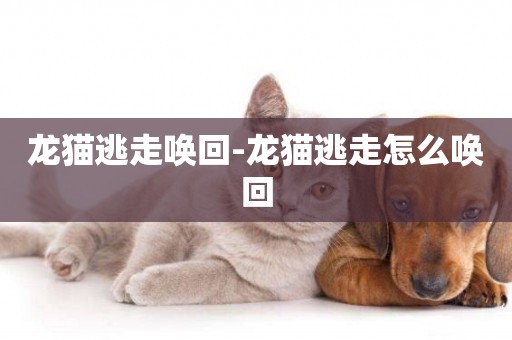 龍貓逃走喚回-龍貓逃走怎么喚回