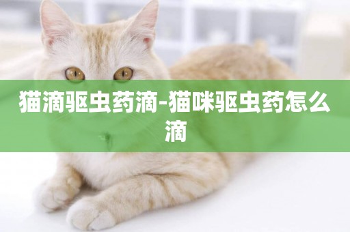貓滴驅蟲藥滴-貓咪驅蟲藥怎么滴