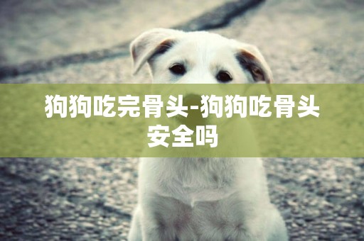 狗狗吃完骨頭-狗狗吃骨頭安全嗎