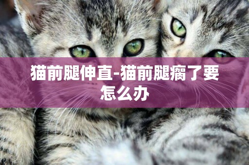 貓前腿伸直-貓前腿瘸了要怎么辦