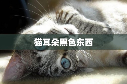 貓耳朵黑色東西