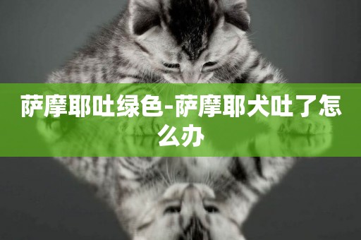 薩摩耶吐綠色-薩摩耶犬吐了怎么辦
