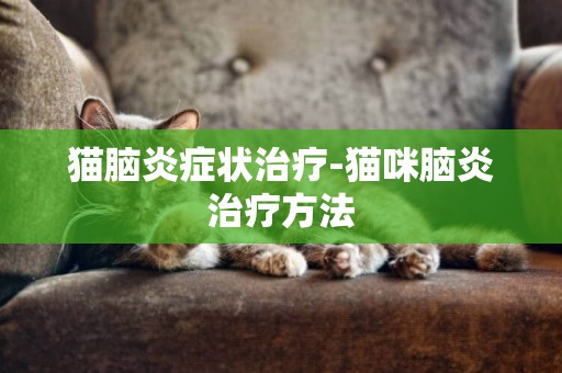 貓腦炎癥狀治療-貓咪腦炎治療方法