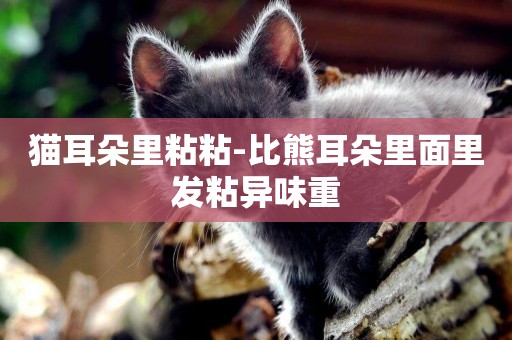 貓耳朵里粘粘-比熊耳朵里面里發粘異味重