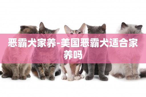 惡霸犬家養-美國惡霸犬適合家養嗎
