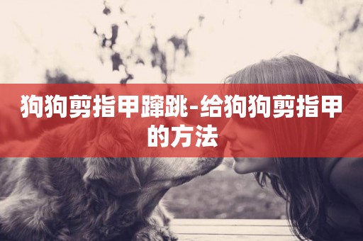 狗狗剪指甲躥跳-給狗狗剪指甲的方法