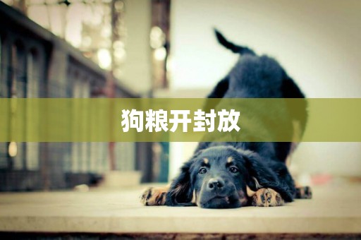 狗糧開封放