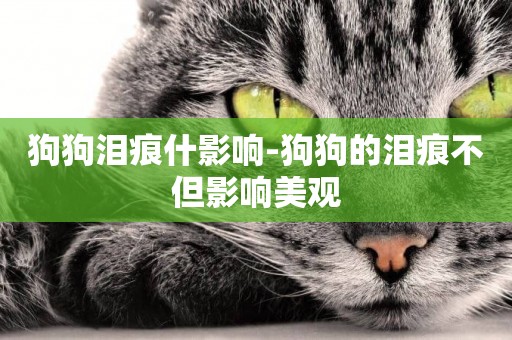 狗狗淚痕什影響-狗狗的淚痕不但影響美觀