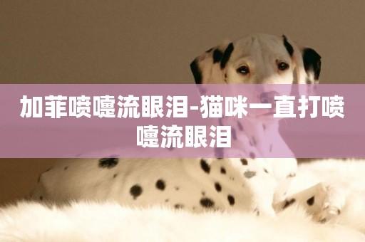 加菲噴嚏流眼淚-貓咪一直打噴嚏流眼淚