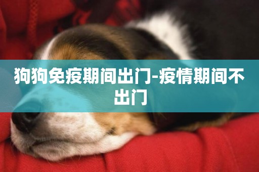 狗狗免疫期間出門-疫情期間不出門