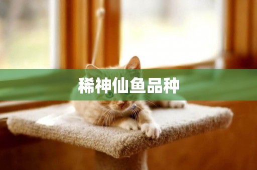 稀神仙魚品種