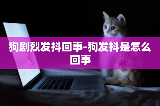 狗劇烈發抖回事-狗發抖是怎么回事