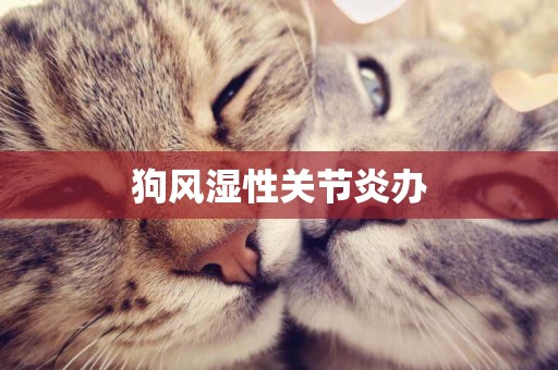 狗風濕性關節炎辦