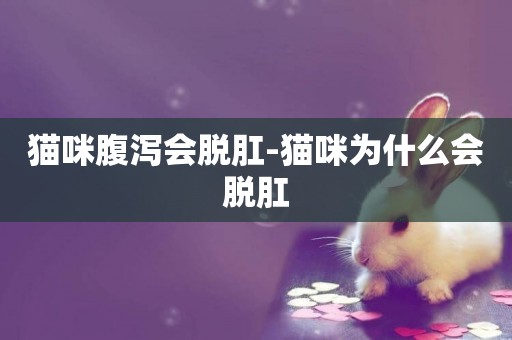 貓咪腹瀉會脫肛-貓咪為什么會脫肛