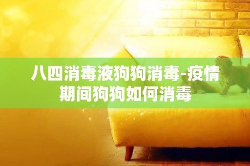 八四消毒液狗狗消毒-疫情期間狗狗如何消毒