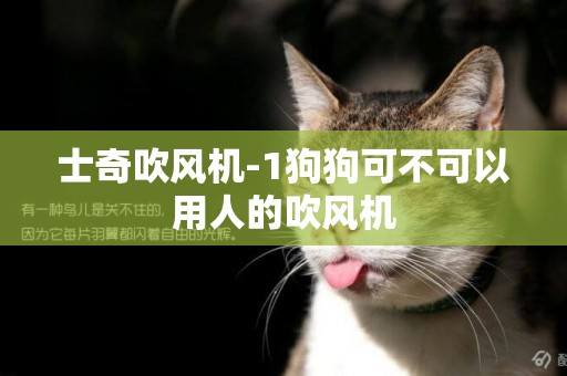 士奇吹風機-1狗狗可不可以用人的吹風機