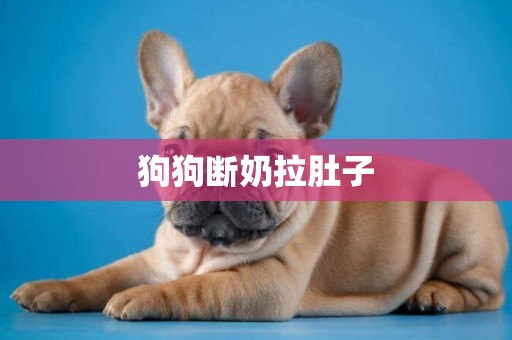 狗狗斷奶拉肚子