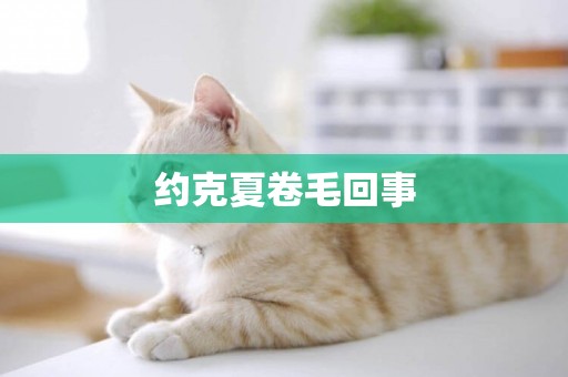 約克夏卷毛回事
