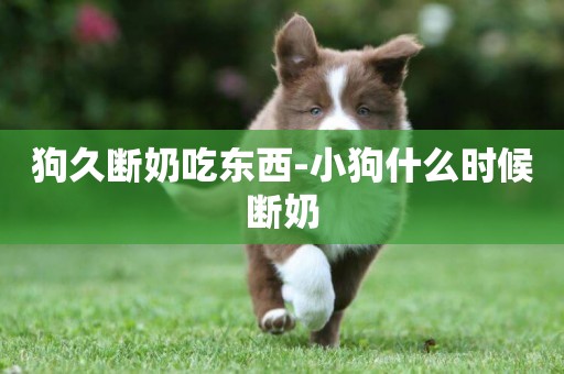 狗久斷奶吃東西-小狗什么時候斷奶