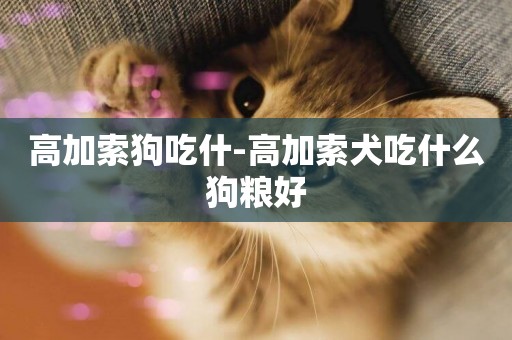 高加索狗吃什-高加索犬吃什么狗糧好