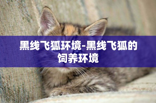 黑線飛狐環境-黑線飛狐的飼養環境