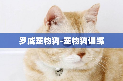 羅威寵物狗-寵物狗訓練