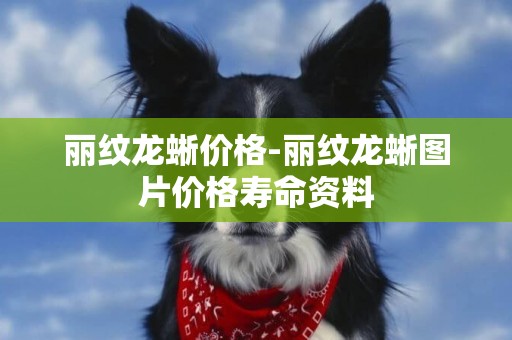 麗紋龍蜥價格-麗紋龍蜥圖片價格壽命資料