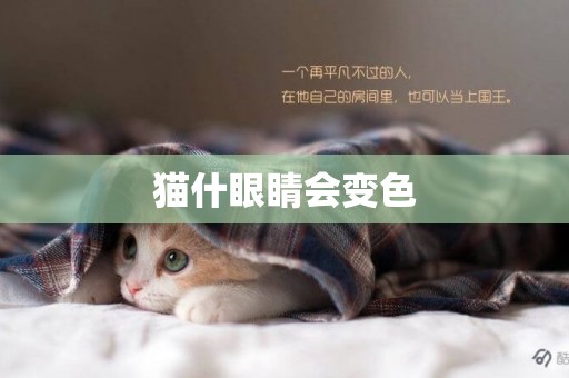 貓什眼睛會變色