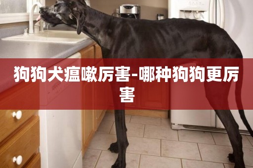 狗狗犬瘟嗽厲害-哪種狗狗更厲害