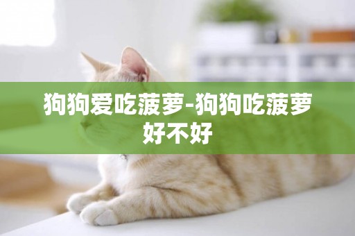 狗狗愛吃菠蘿-狗狗吃菠蘿好不好
