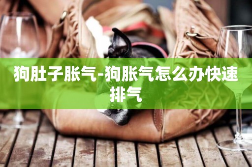 狗肚子脹氣-狗脹氣怎么辦快速排氣