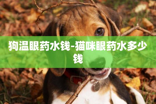 狗溫眼藥水錢-貓咪眼藥水多少錢