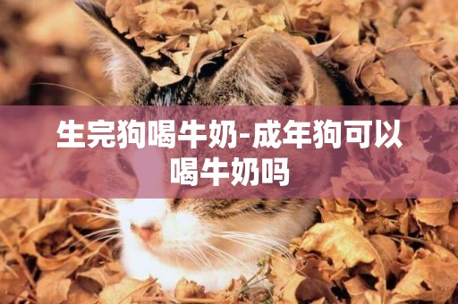 生完狗喝牛奶-成年狗可以喝牛奶嗎
