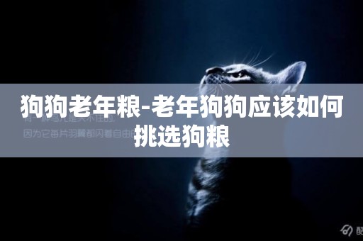 狗狗老年糧-老年狗狗應該如何挑選狗糧
