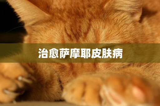 治愈薩摩耶皮膚病
