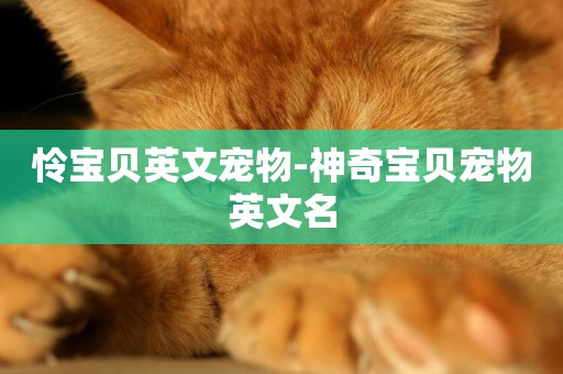 憐寶貝英文寵物-神奇寶貝寵物英文名