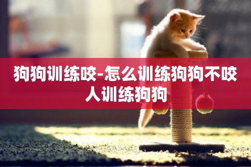 狗狗訓練咬-怎么訓練狗狗不咬人訓練狗狗