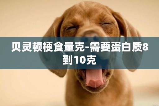 貝靈頓梗食量克-需要蛋白質8到10克