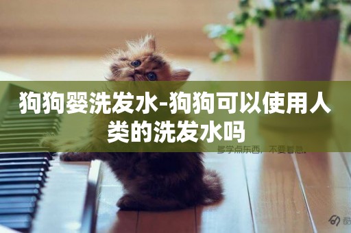 狗狗嬰洗發水-狗狗可以使用人類的洗發水嗎
