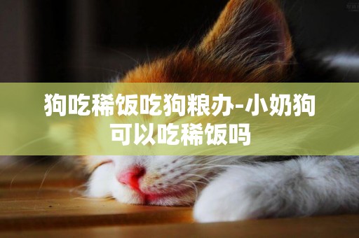 狗吃稀飯吃狗糧辦-小奶狗可以吃稀飯嗎