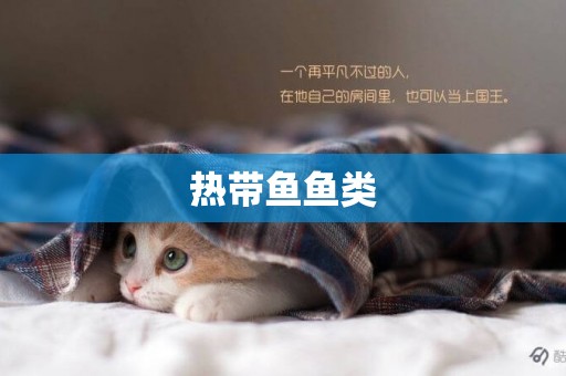 熱帶魚魚類