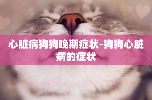 心臟病狗狗晚期癥狀-狗狗心臟病的癥狀