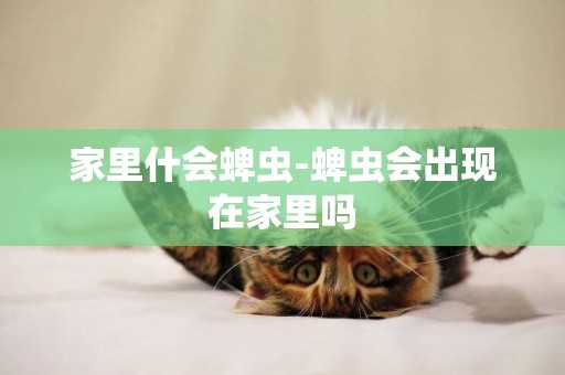 家里什會蜱蟲-蜱蟲會出現在家里嗎