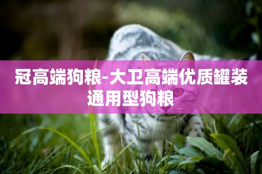 冠高端狗糧-大衛高端優質罐裝通用型狗糧